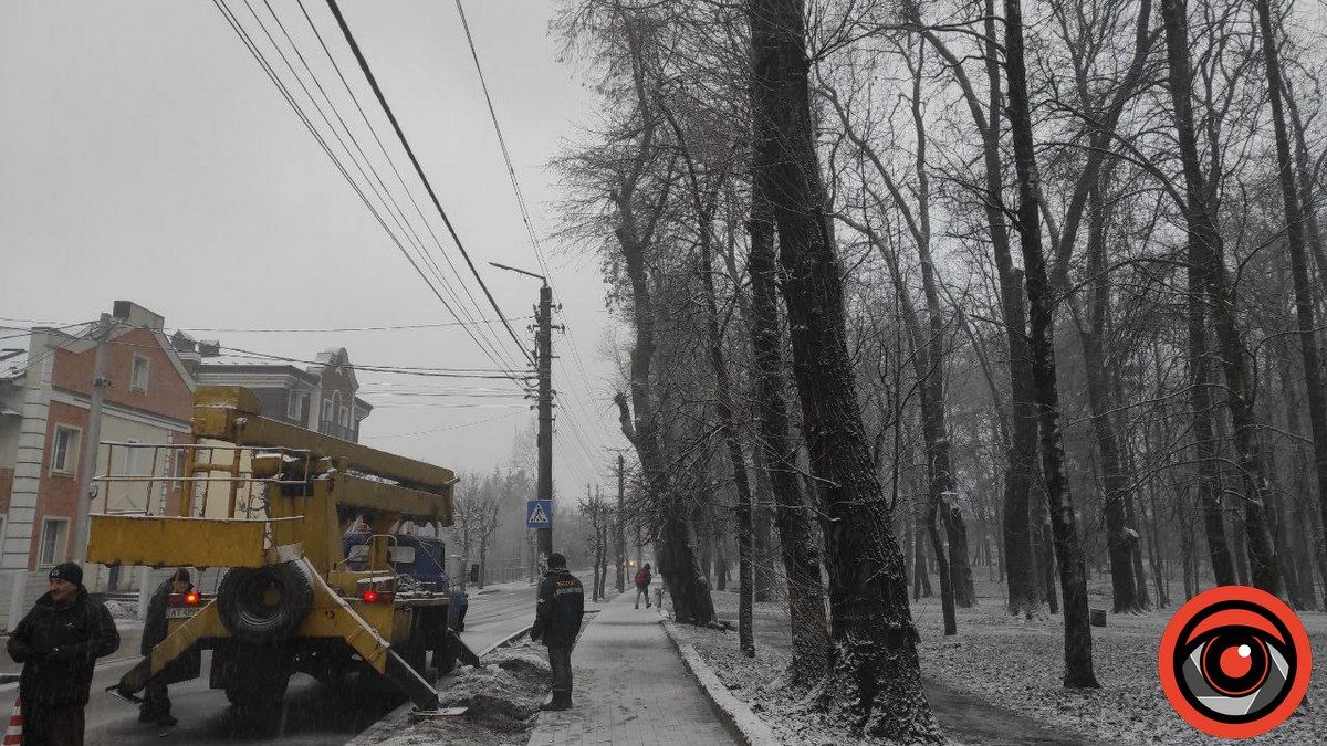 Скільки коштують роботи по підрізанню дерев у парку Коломиї 1
