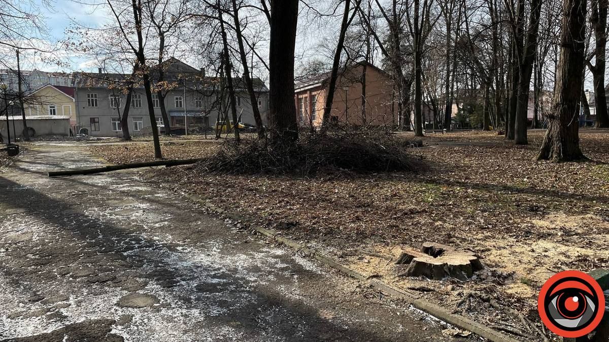 У міському парку Коломиї в січні зрізали 11 дерев 9