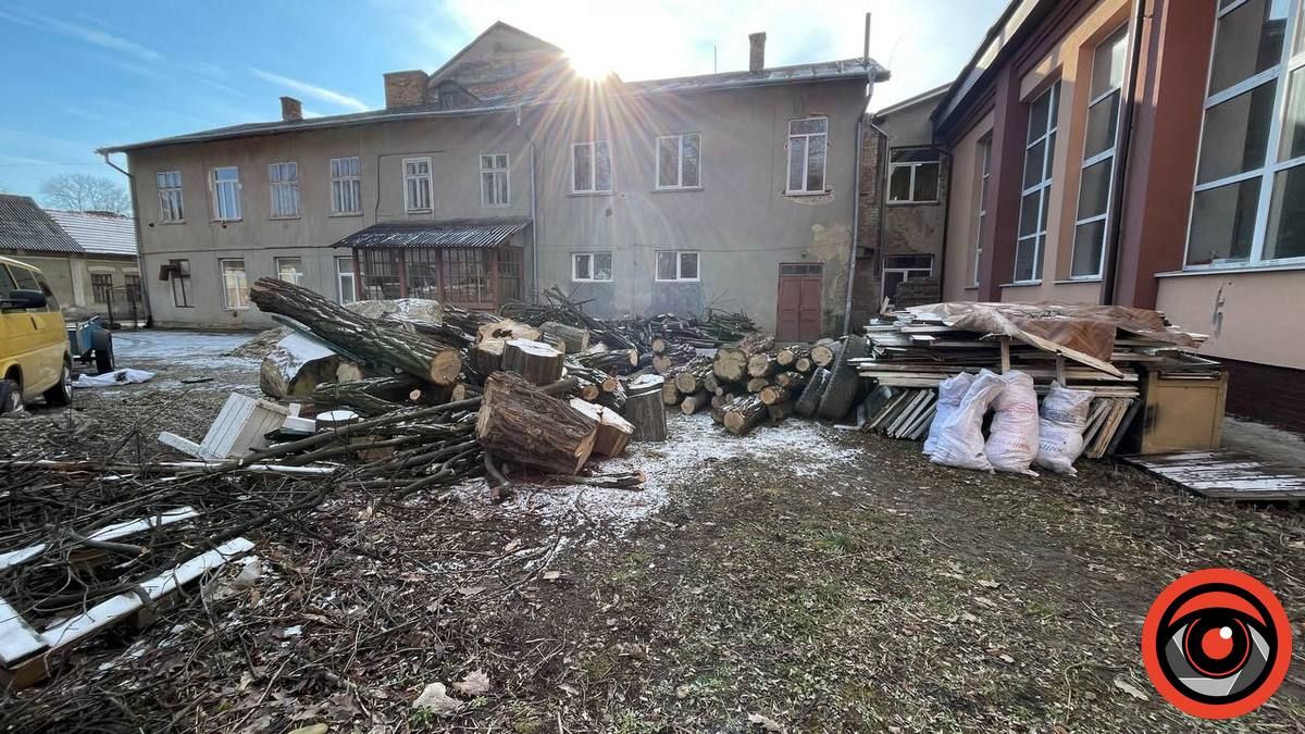 У міському парку Коломиї в січні зрізали 11 дерев 14