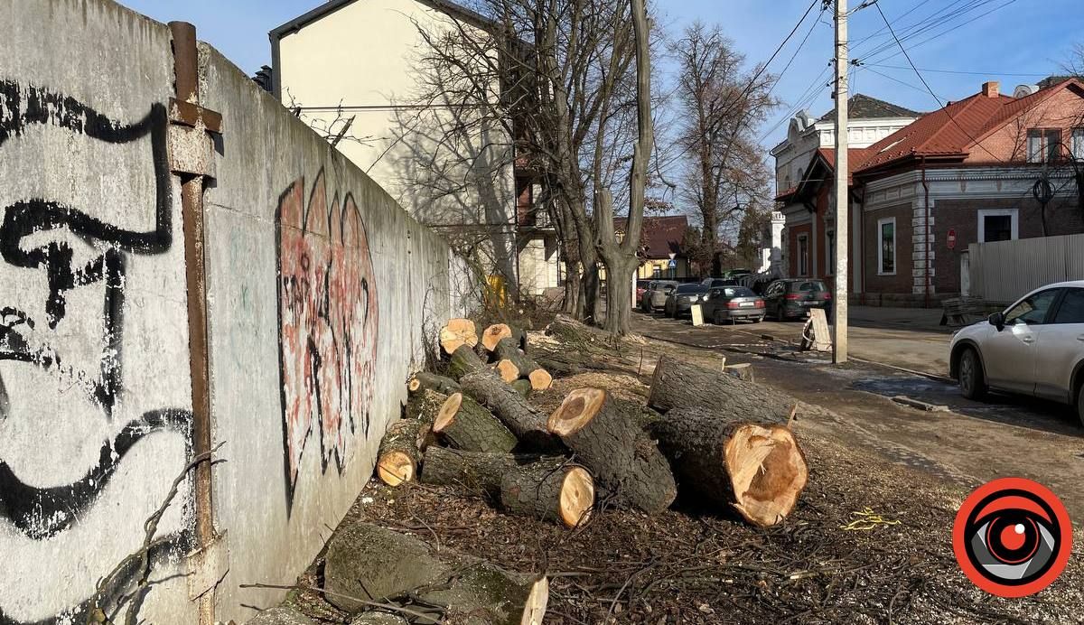 Що із штрафом за зрубані дерева на вул. Шухевича в Коломиї 1
