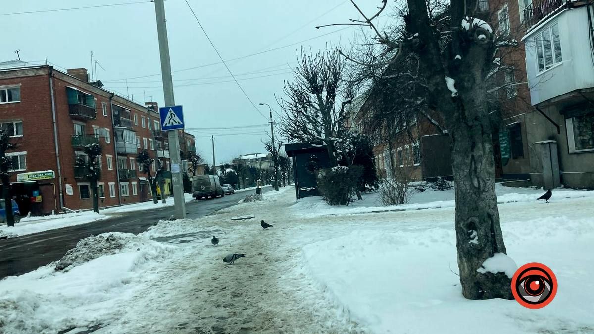 Як розчищають тротуари в Коломиї 4
