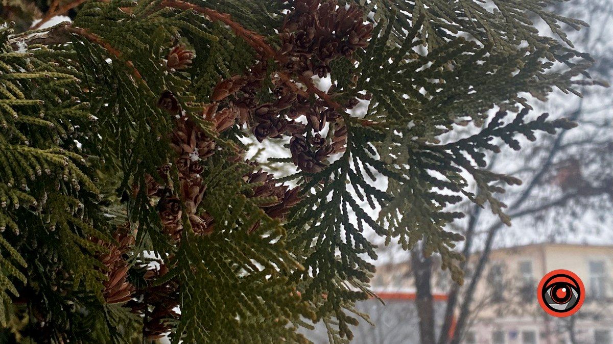 Чого чекати коломиянам від погоди 9 лютого?