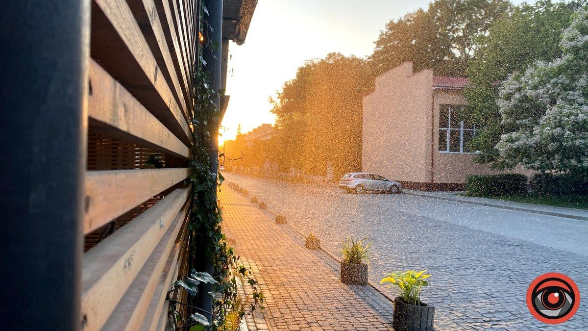 Цісарський променад й алея Вольності: історія бульвару Лесі Українки в Коломиї 9