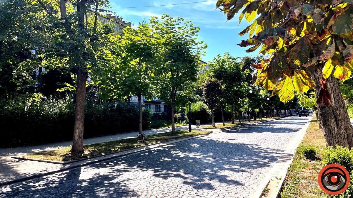 Цісарський променад й алея Вольності: історія бульвару Лесі Українки в Коломиї 10