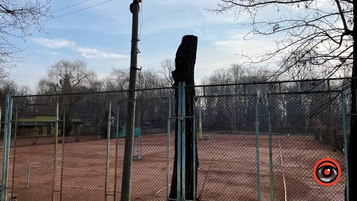 У Коломиї на вулиці Кобилянської зрізають дерева 2