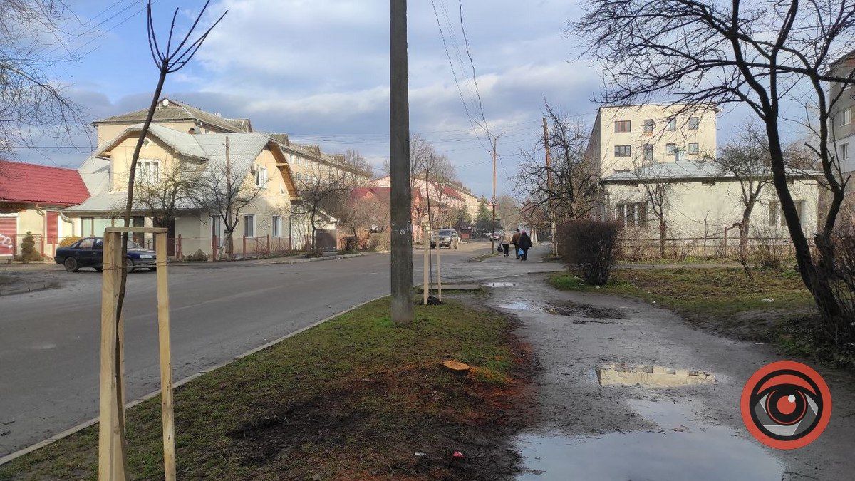 На вулиці Лисенка корчують пні, щоб посадити дерева 6