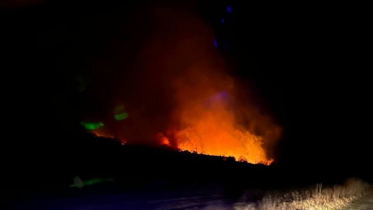 У Заболотові вночі горіла суха трава 1