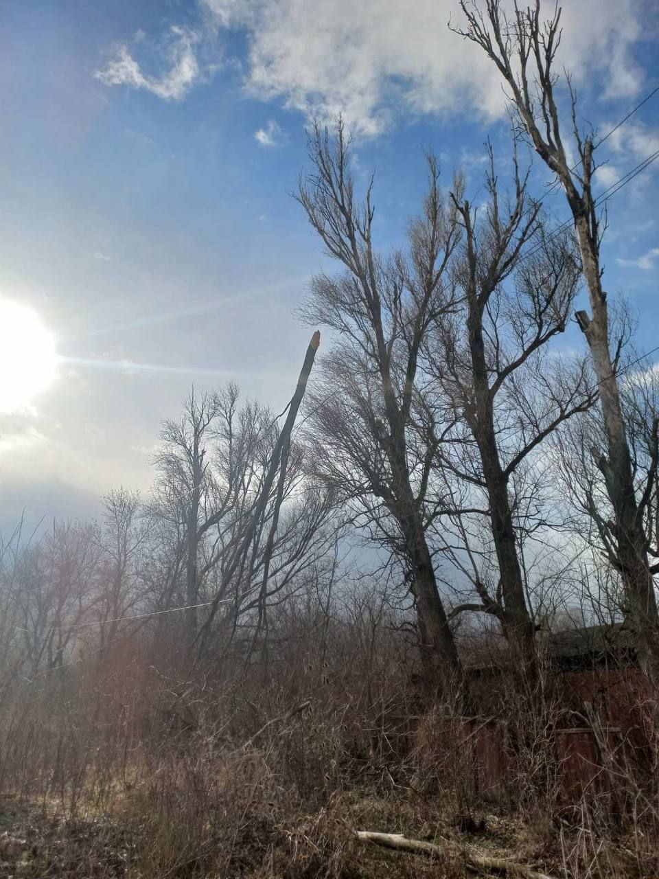 На Прикарпатті енергетики все ще ліквідовують наслідки негоди 3