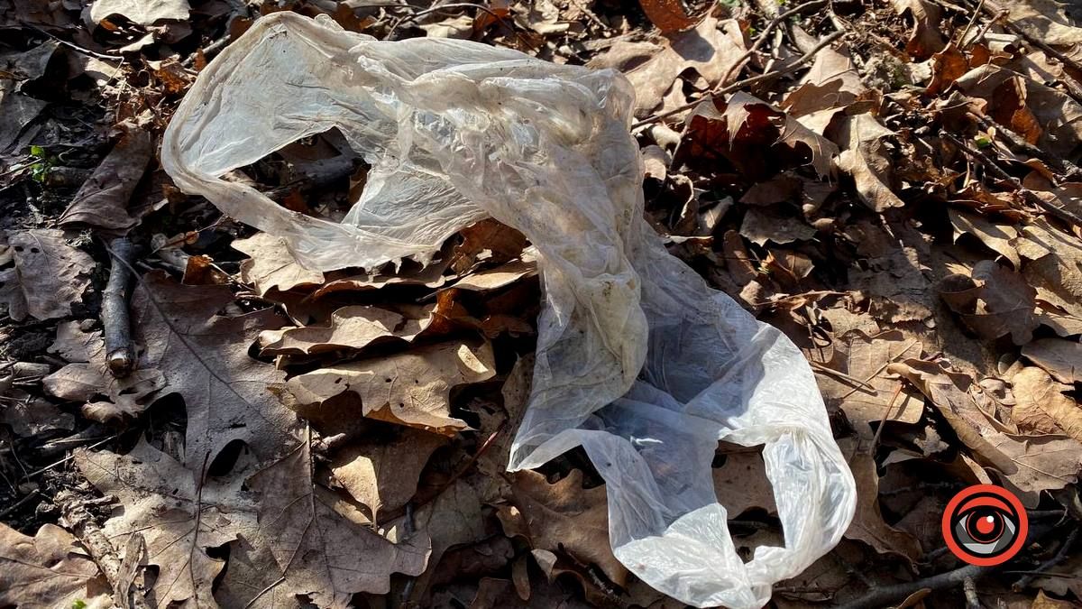 Насмітили й так лишили: у лісі біля Шепарівців влаштували звалище 2