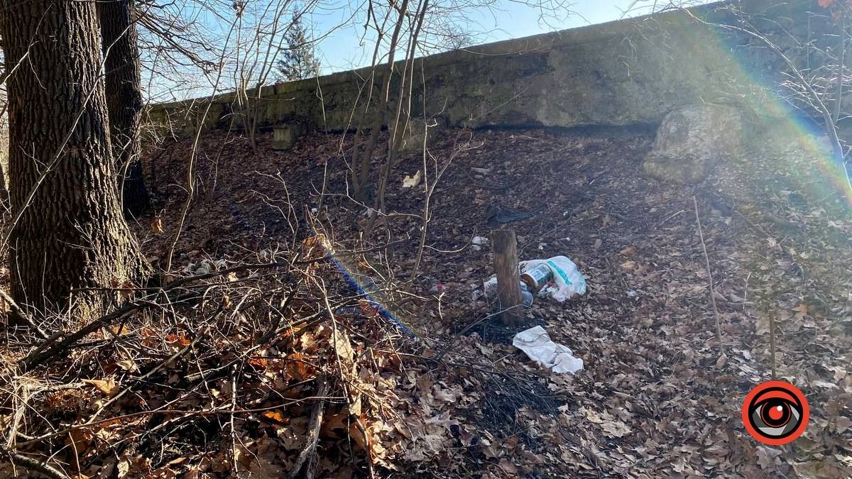 Насмітили й так лишили: у лісі біля Шепарівців влаштували звалище 1