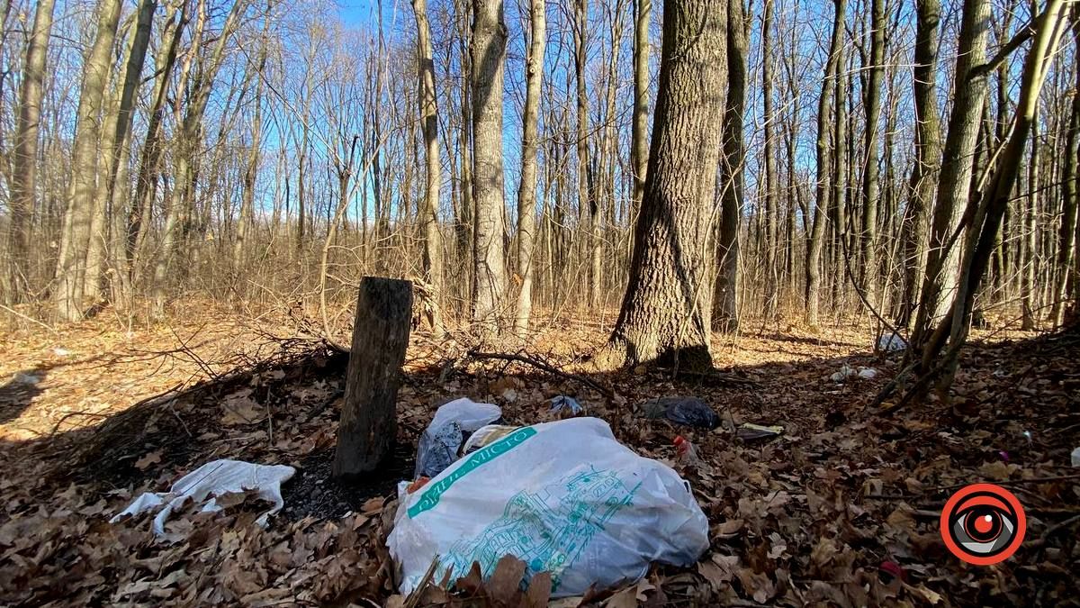 Насмітили й так лишили: у лісі біля Шепарівців влаштували звалище 3