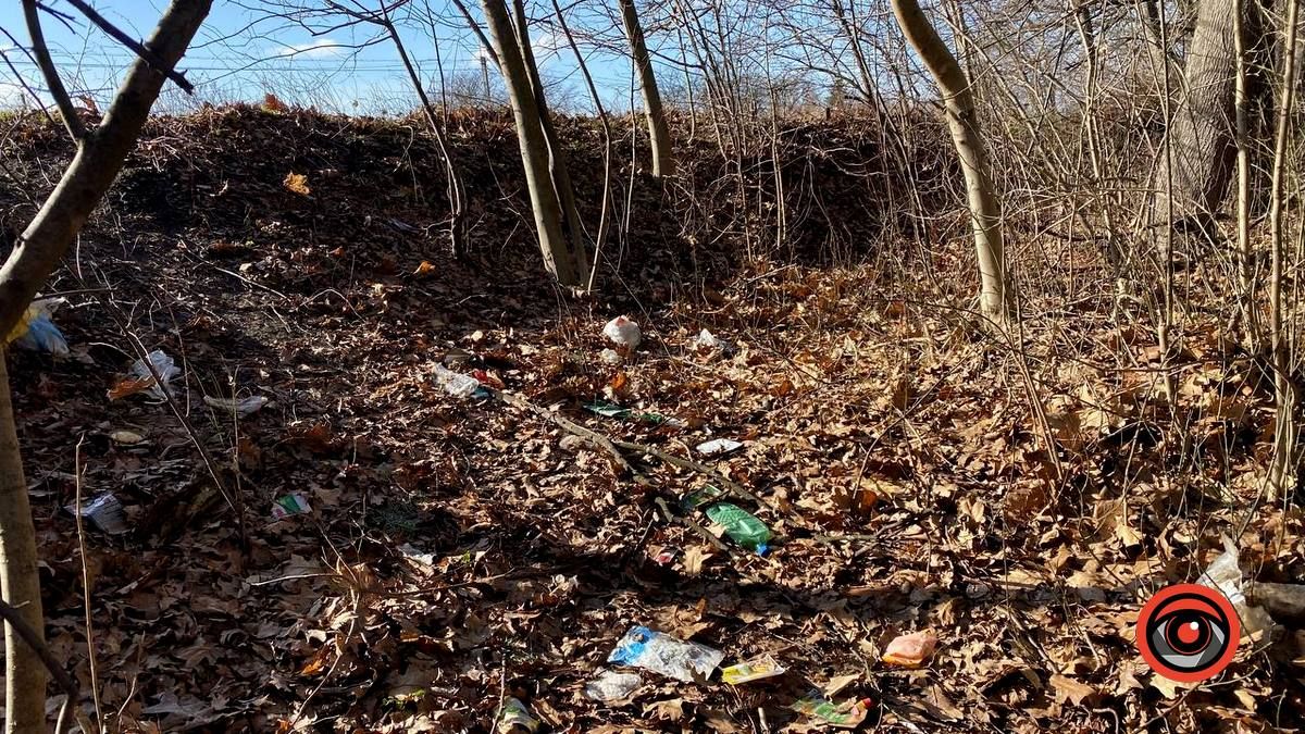 Насмітили й так лишили: у лісі біля Шепарівців влаштували звалище 4