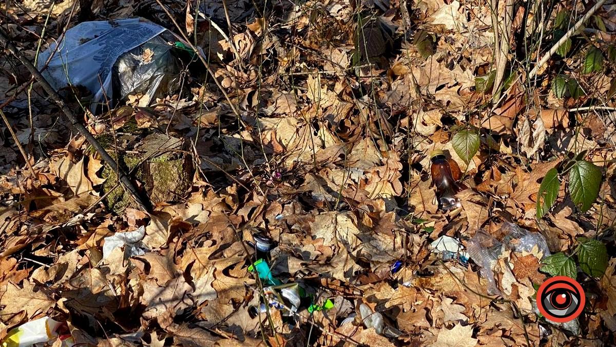 Насмітили й так лишили: у лісі біля Шепарівців влаштували звалище 5