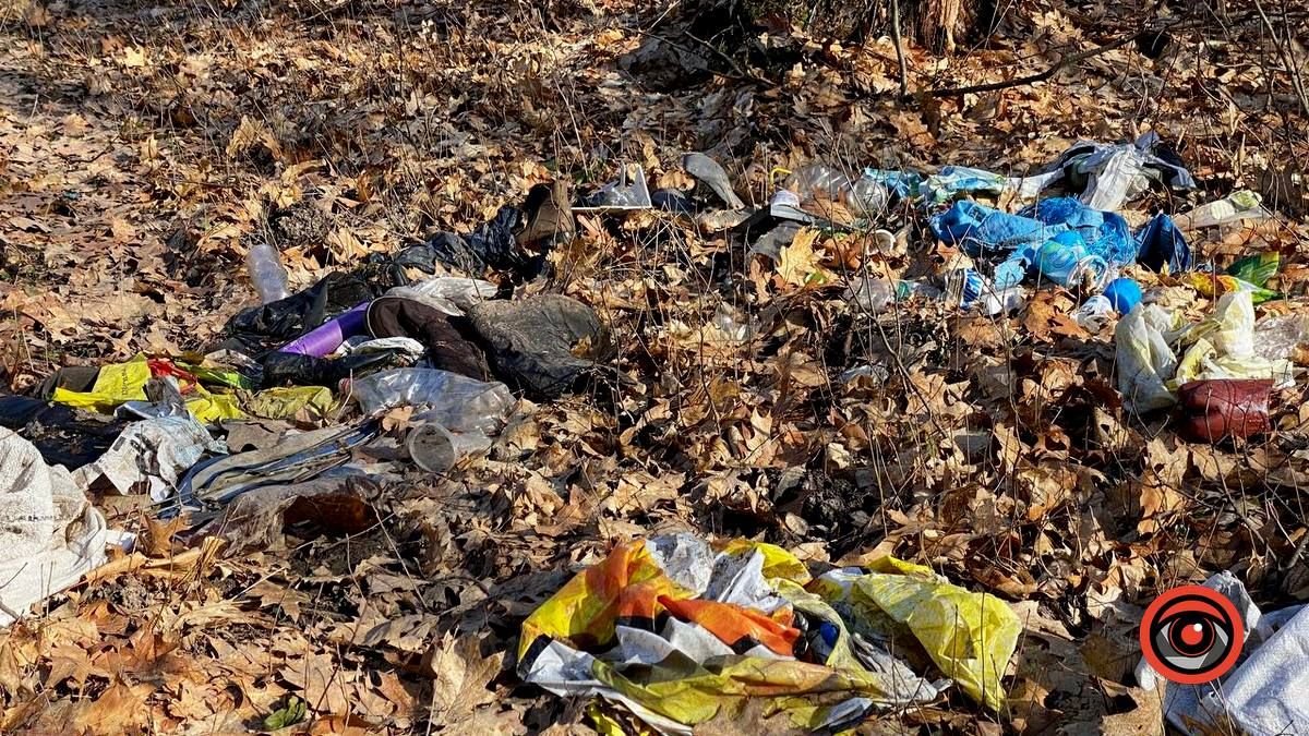 Насмітили й так лишили: у лісі біля Шепарівців влаштували звалище 6