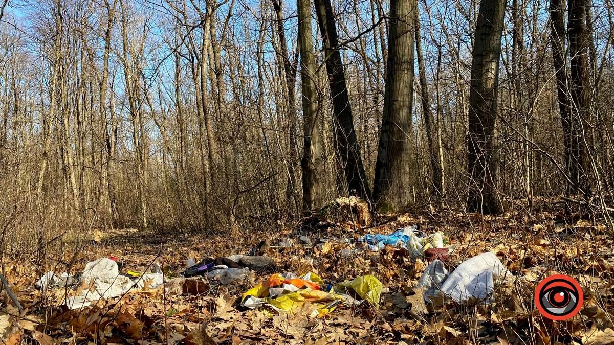 Насмітили й так лишили: у лісі біля Шепарівців влаштували звалище 7