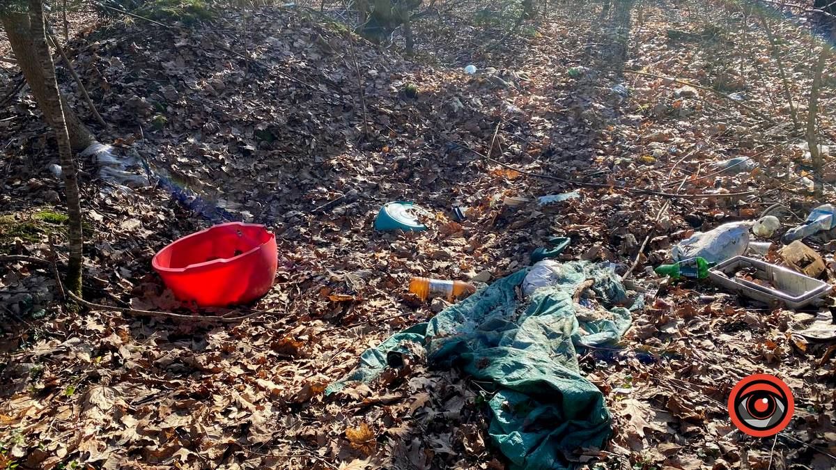 Насмітили й так лишили: у лісі біля Шепарівців влаштували звалище