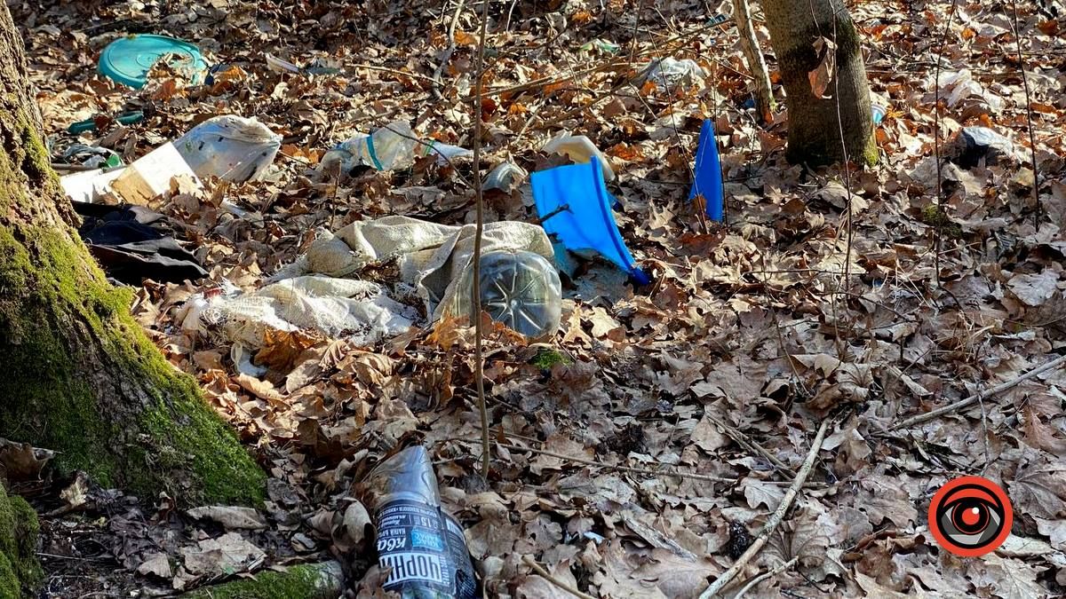 Насмітили й так лишили: у лісі біля Шепарівців влаштували звалище 8