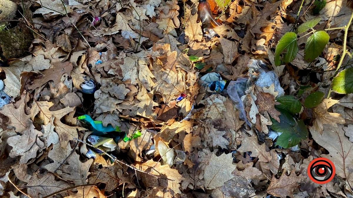 Насмітили й так лишили: у лісі біля Шепарівців влаштували звалище 9