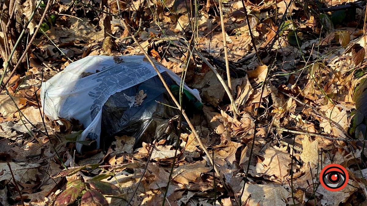 Насмітили й так лишили: у лісі біля Шепарівців влаштували звалище 12