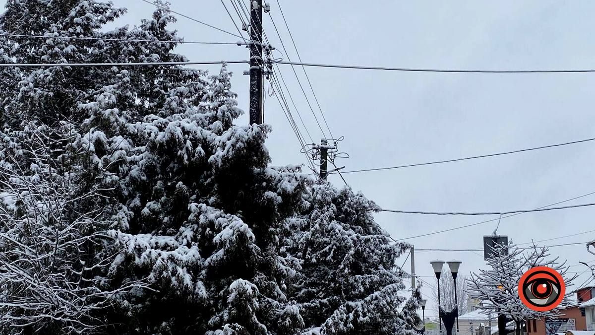 Засніжений зимовий день у Коломиї | Фоторепортаж 1