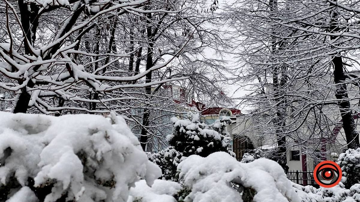 Засніжений зимовий день у Коломиї | Фоторепортаж 7