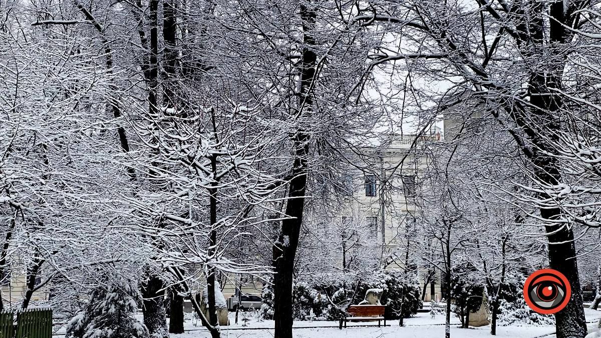 Засніжений зимовий день у Коломиї | Фоторепортаж 8