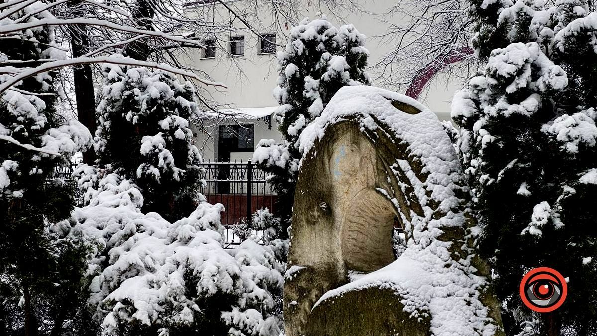 Засніжений зимовий день у Коломиї | Фоторепортаж 10