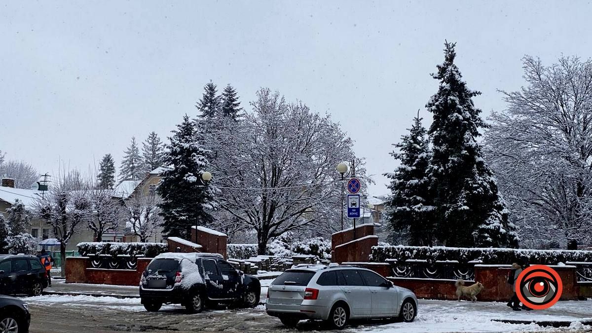 Засніжений зимовий день у Коломиї | Фоторепортаж 22