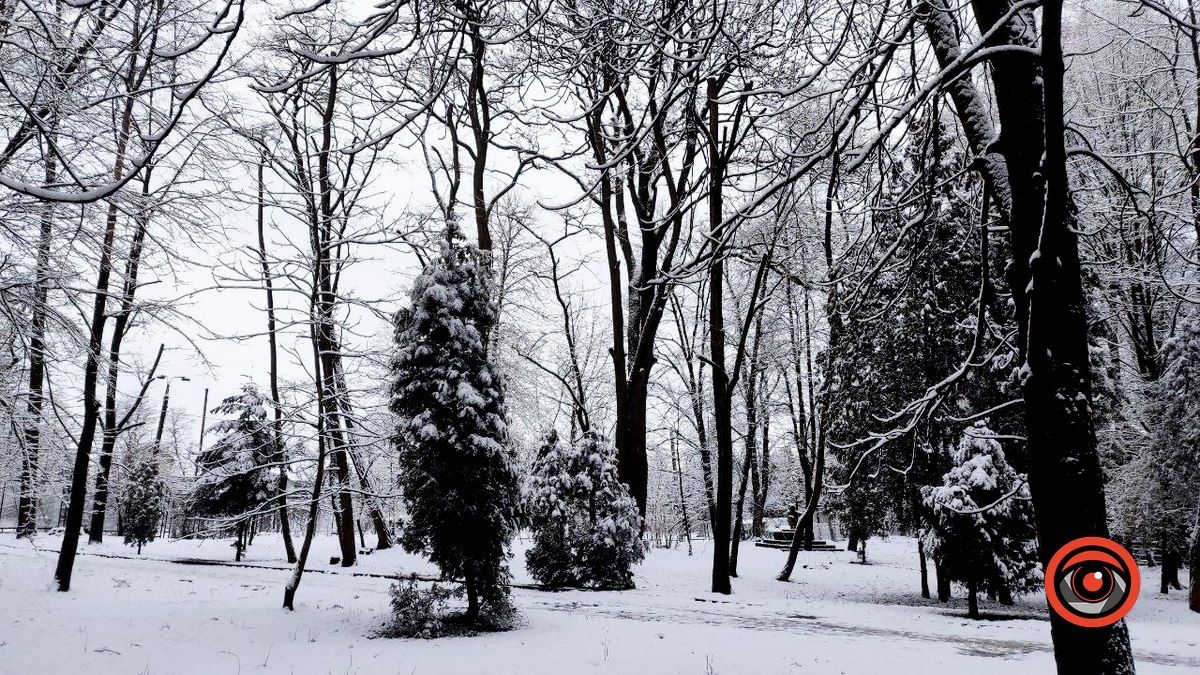 Засніжений зимовий день у Коломиї | Фоторепортаж 26