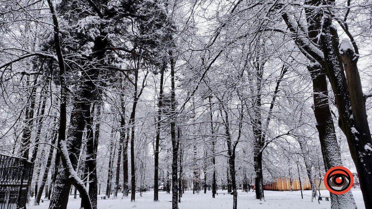 Засніжений зимовий день у Коломиї | Фоторепортаж 25