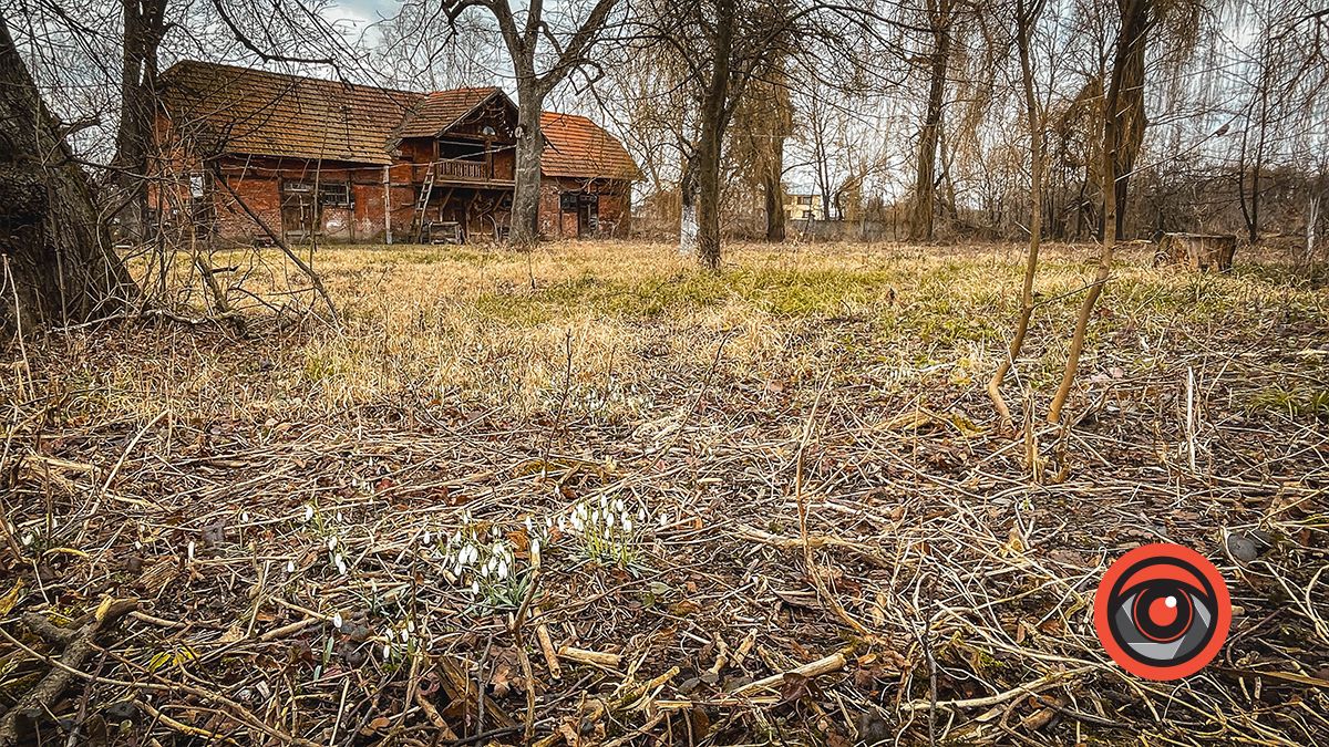 Тютюнова фабрика у Заболотові: графська ресторація, власний зоопарк і нинішні руїни 4