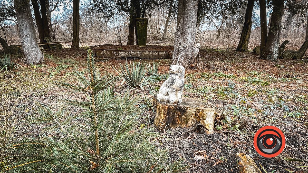 Тютюнова фабрика у Заболотові: графська ресторація, власний зоопарк і нинішні руїни 12