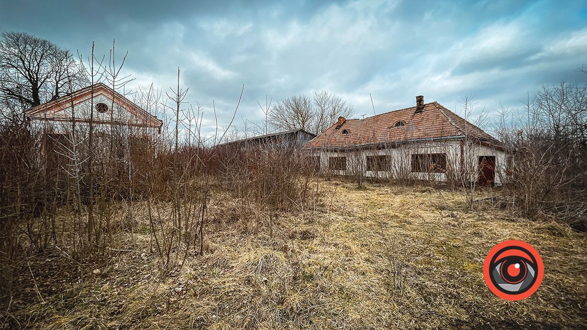 Тютюнова фабрика у Заболотові: графська ресторація, власний зоопарк і нинішні руїни 32