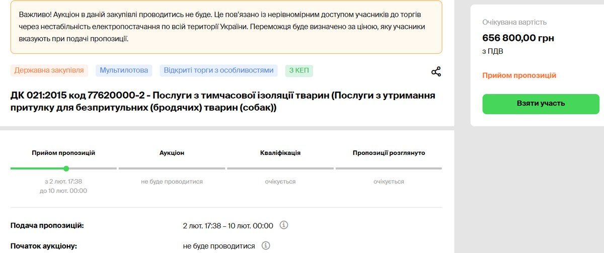 Понад 1 млн 100 тис грн Коломия готова витратити на стерилізацію та тимчасову ізоляцію безпритульних тварин 2