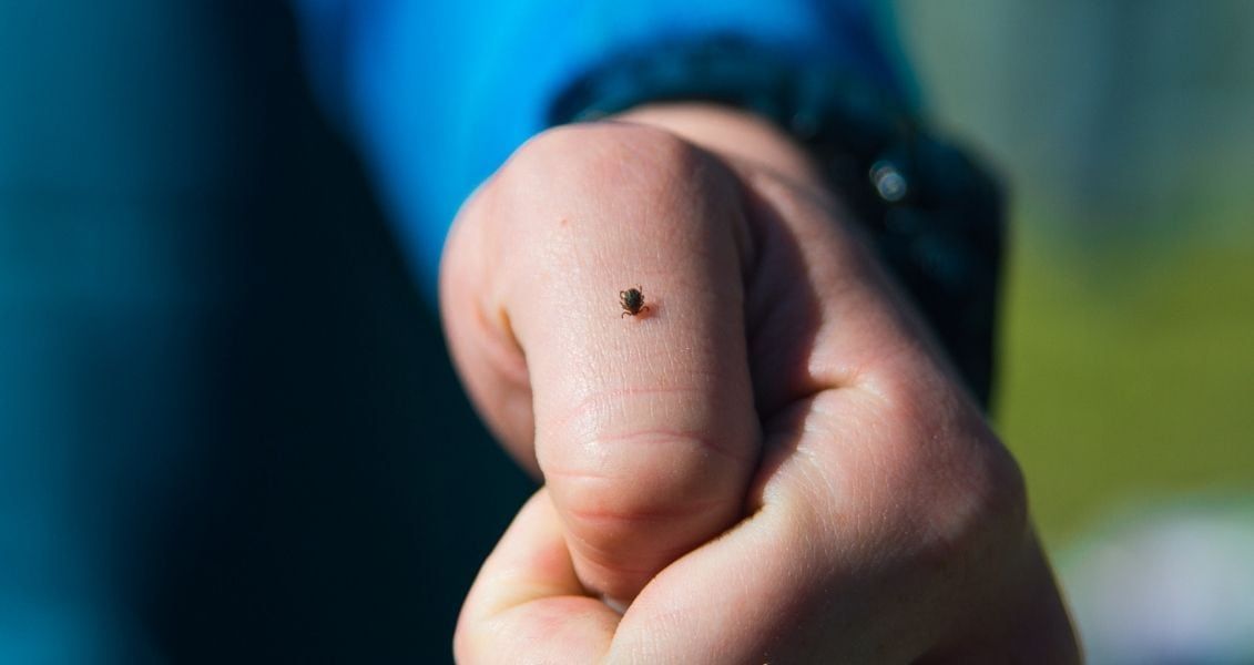 22 лютого: про що розповість ця дата 1