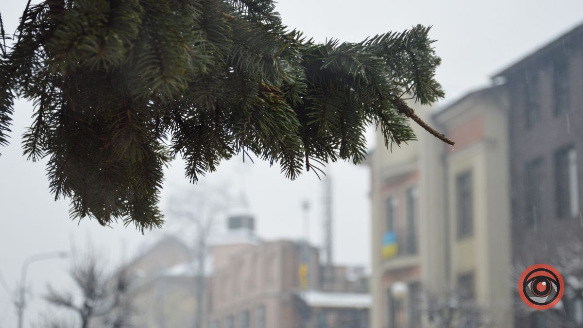 Що чекати від погоди у Коломиї 3 лютого?