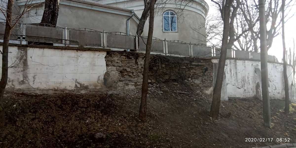 Що нарубали озеленювачі в Коломиї: вражаюча п'ятирічка | частина 1 3