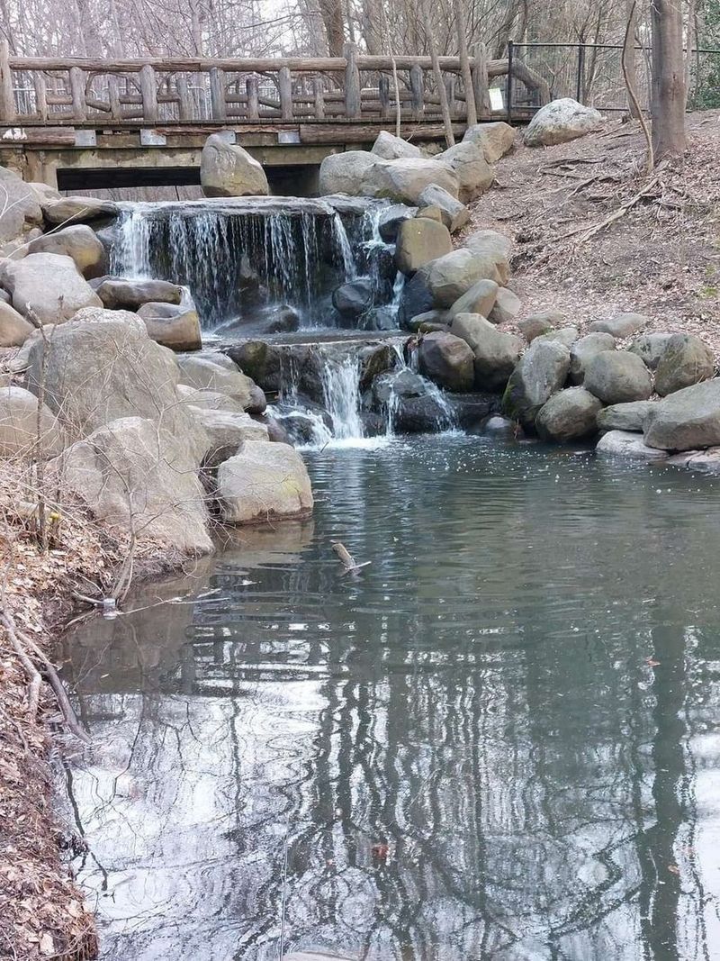 Спасти не можна знищити: як активісти Коломиї пропонують врятувати озеро 3