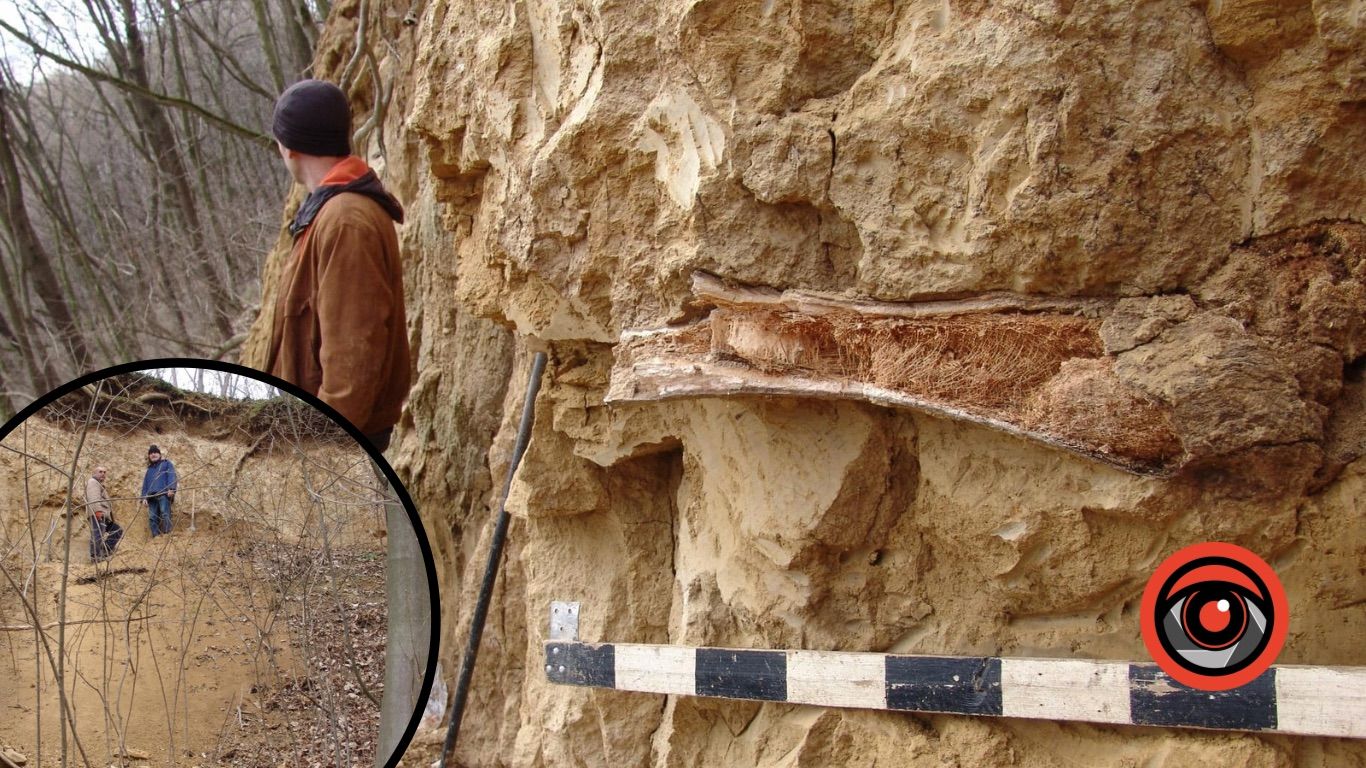 На Прикарпатті знайшли рештки первісної тварини