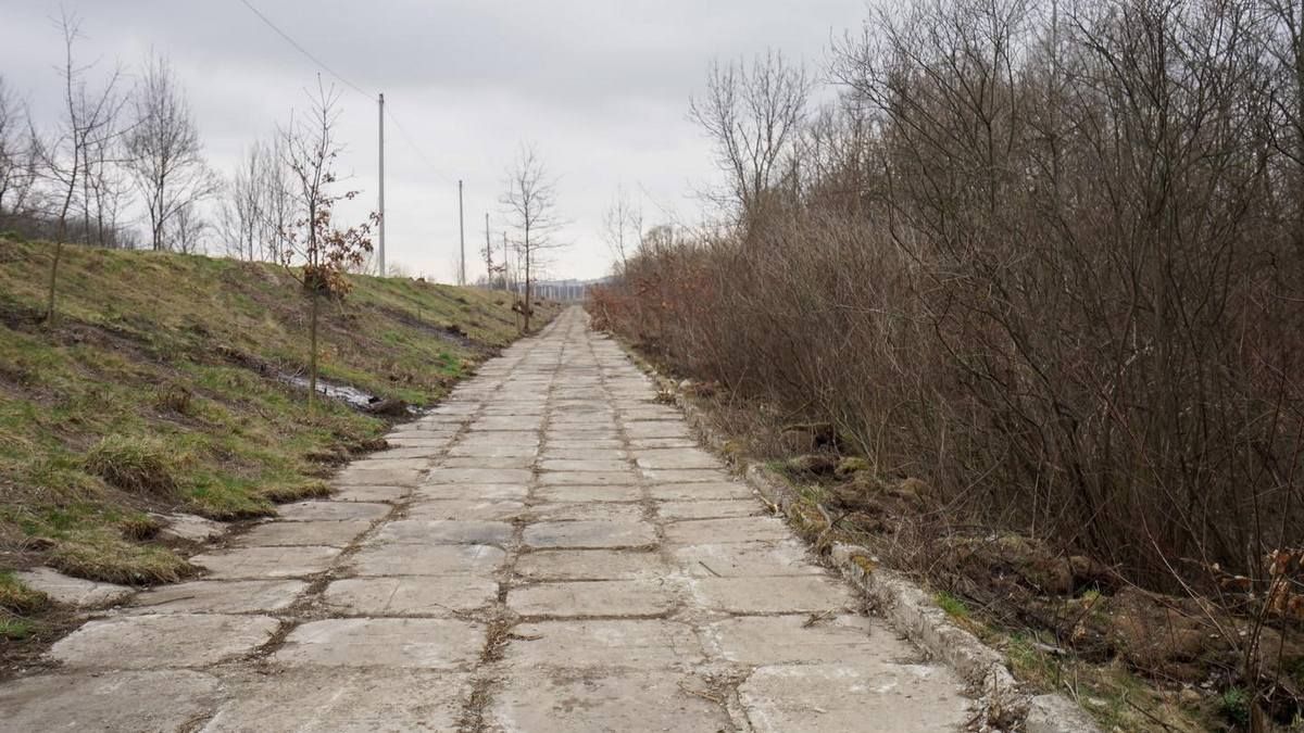 У Коломиї відновлюють пішу зону на дамбі понад Прутом 3