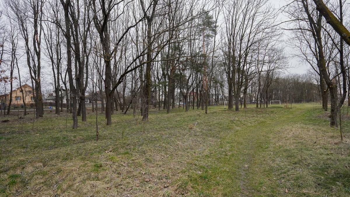 У Коломиї відновлюють пішу зону на дамбі понад Прутом 5