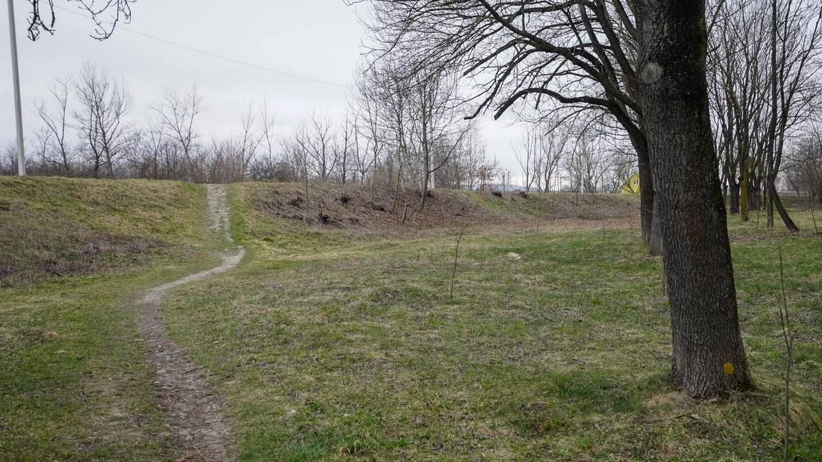 У Коломиї відновлюють пішу зону на дамбі понад Прутом 1