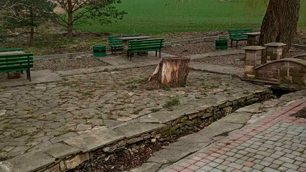 У Городенці толока: комунальники облагороджують місто 4