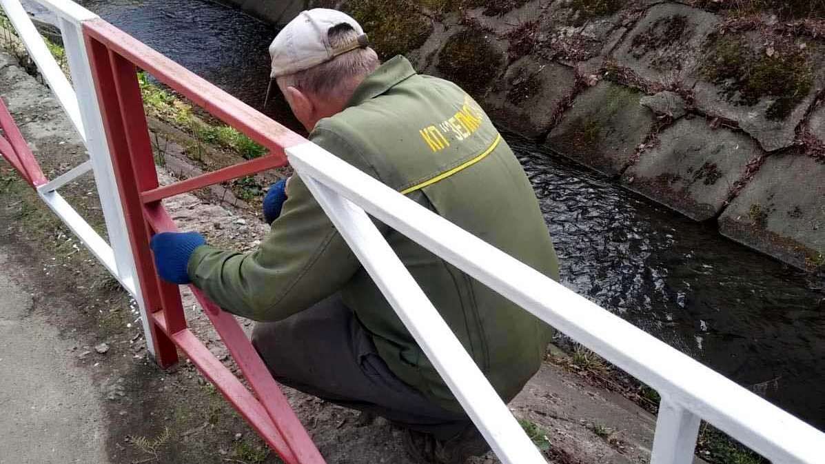 Комунальники прозвітували, що робили у Коломиї протягом тижня 2