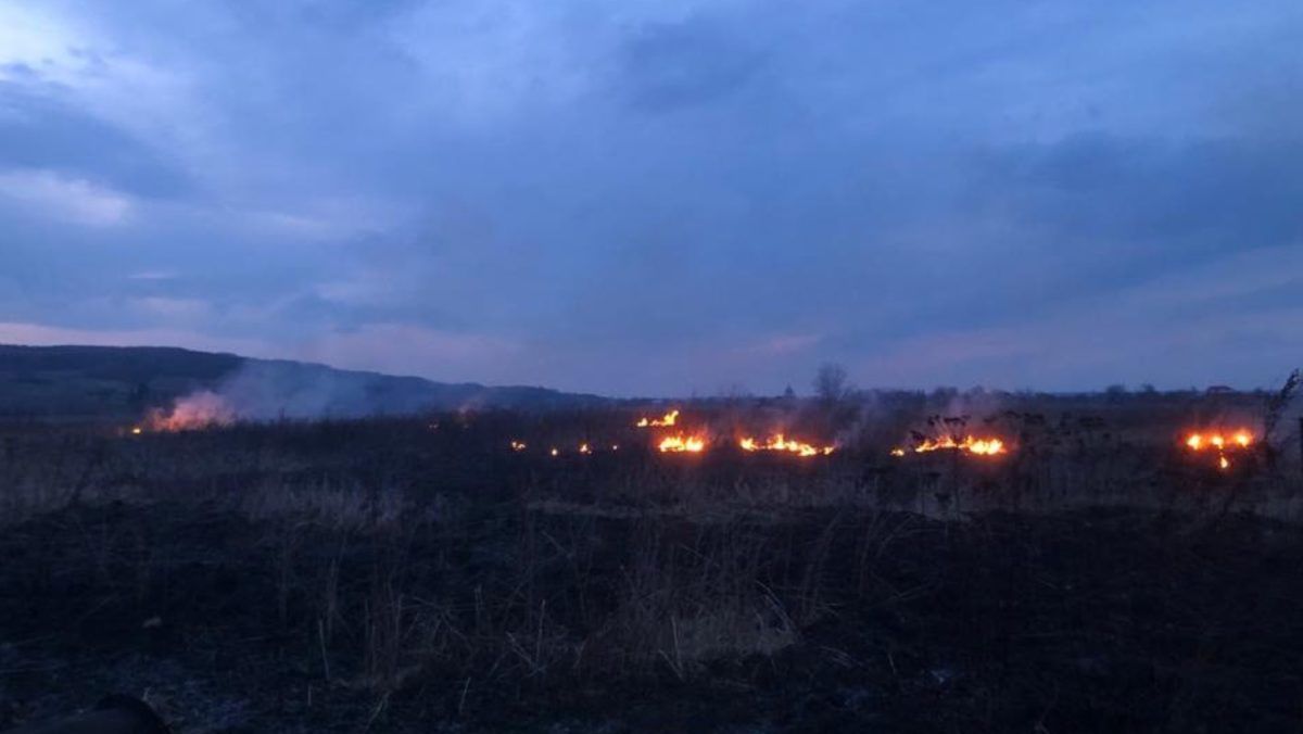 На Коломийщині пожежа: горіла суха трава 2