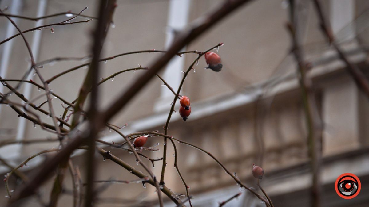 Невже знову сніг? Прогноз погоди у Коломиї на 11 березня