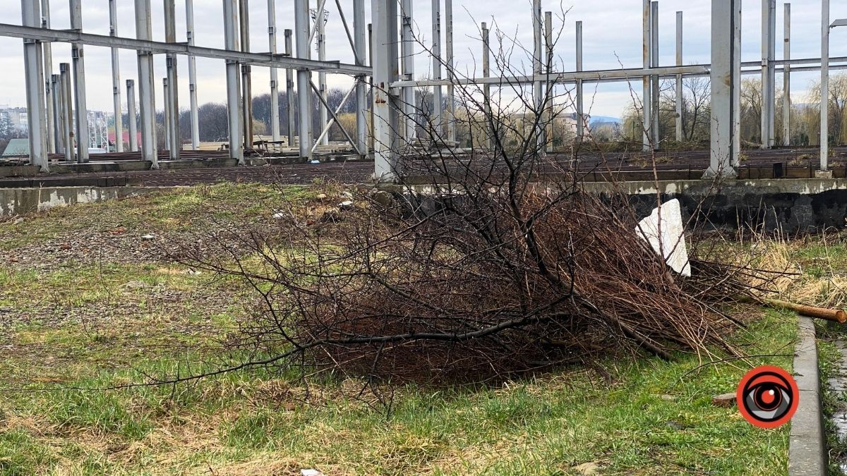 У Коломиї біля басейну тривають роботи: мешканці чекають на новий паркан 7