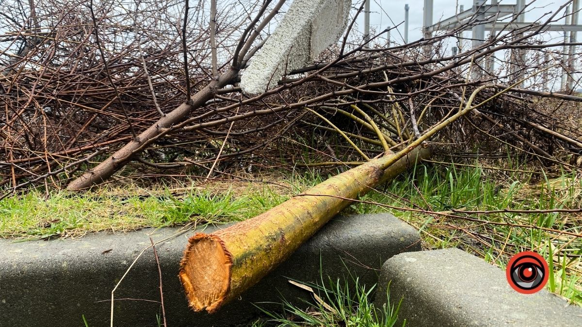 У Коломиї біля басейну тривають роботи: мешканці чекають на новий паркан 5