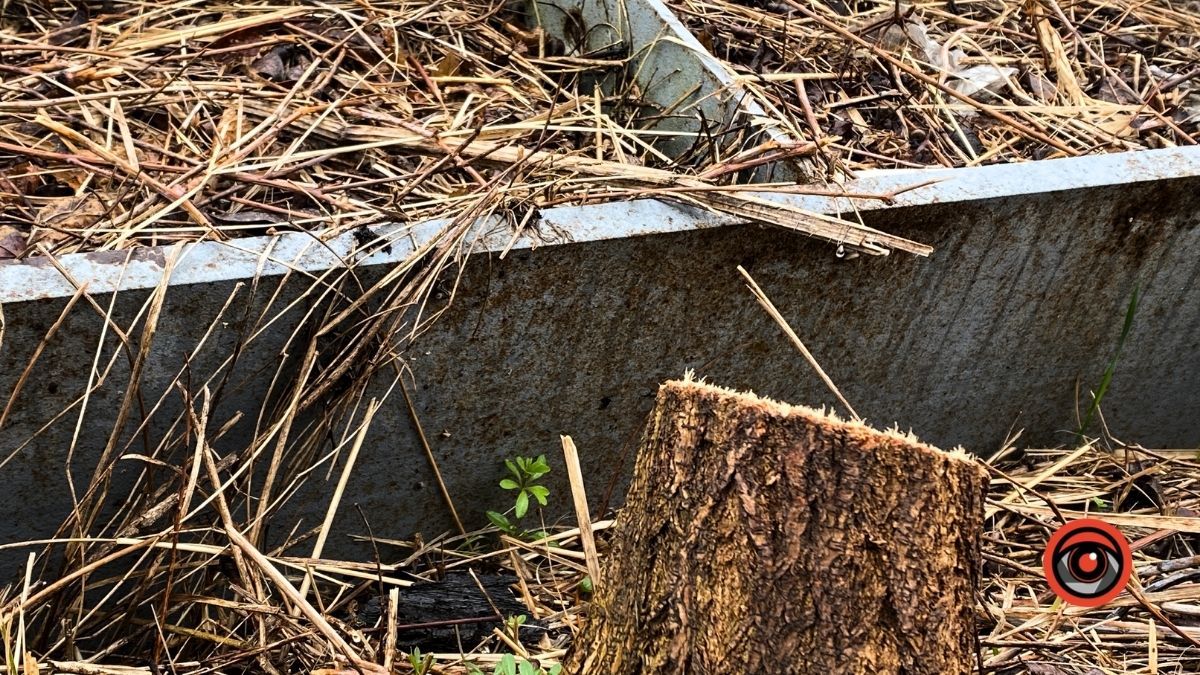 У Коломиї біля басейну тривають роботи: мешканці чекають на новий паркан 10