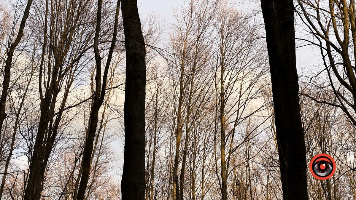 Землі Карпатського національного парку, якими користувався місцевий мешканець, повертають у власність через суд